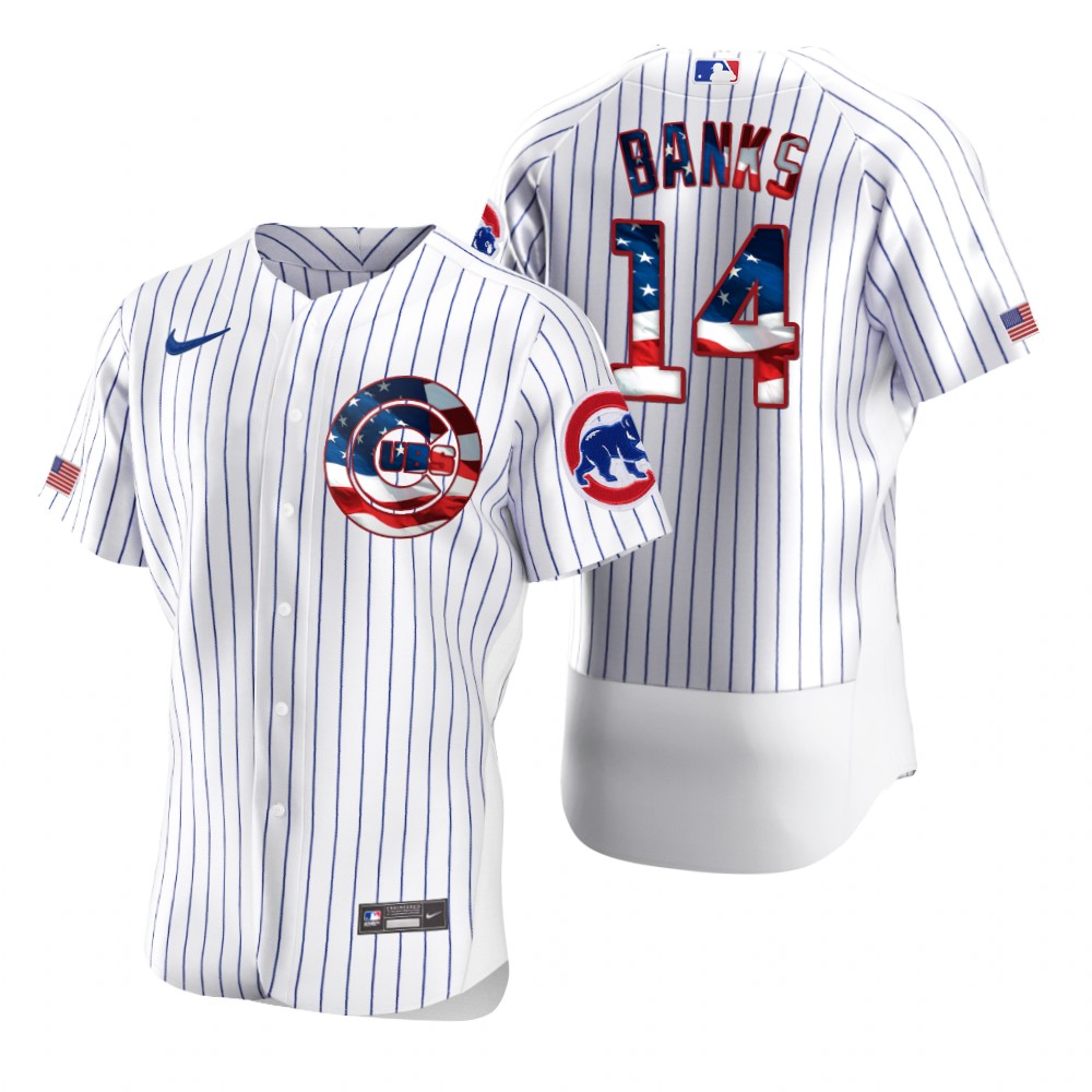 Chicago Cubs #14 Ernie Banks Men Nike White Fluttering USA Flag Limited Edition Authentic MLB Jersey